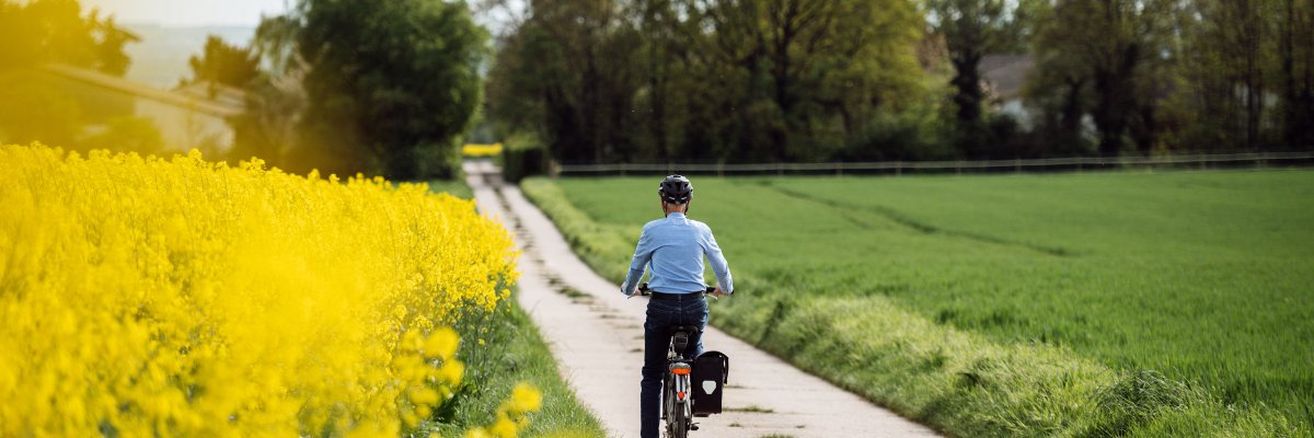 Elena Reck | Fachzentrum Nachhaltige Mobilitätsplanung Hessen